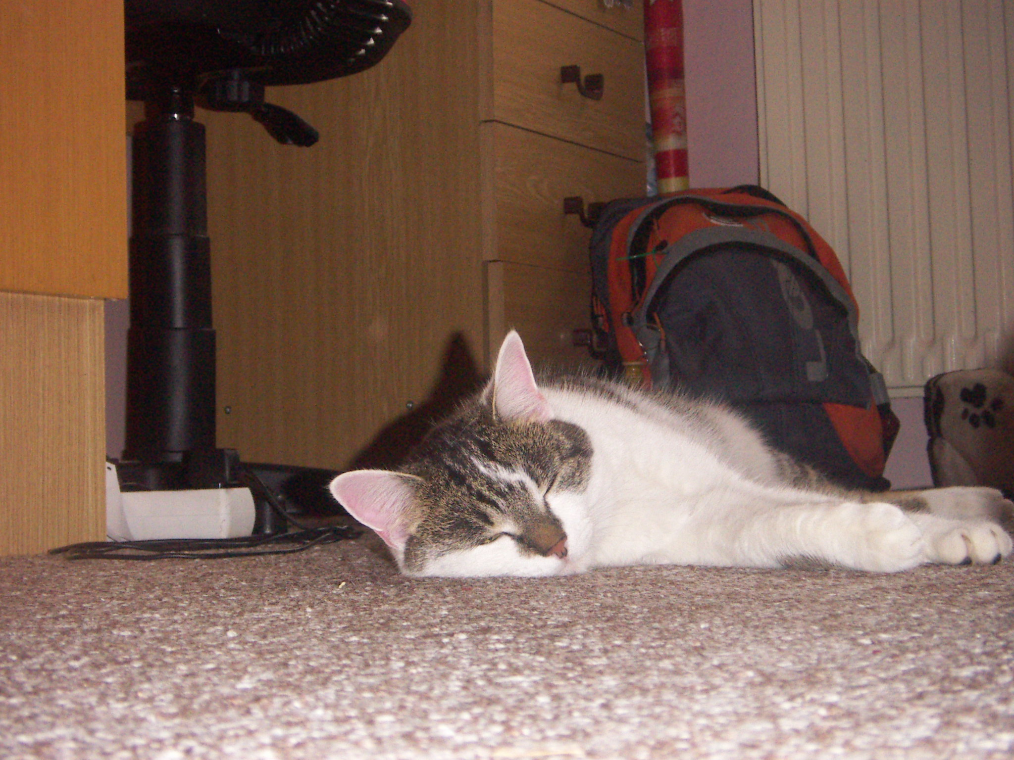 PICT0037.JPG