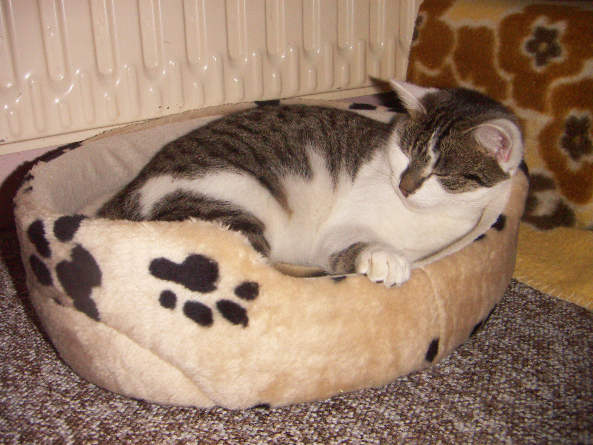 PICT0057.JPG