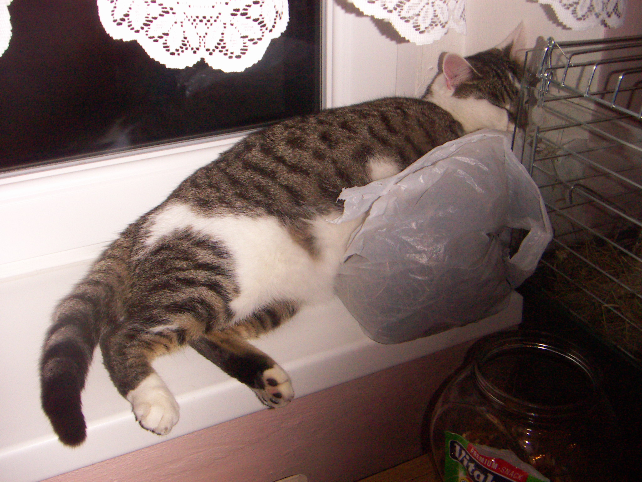 PICT0060.JPG