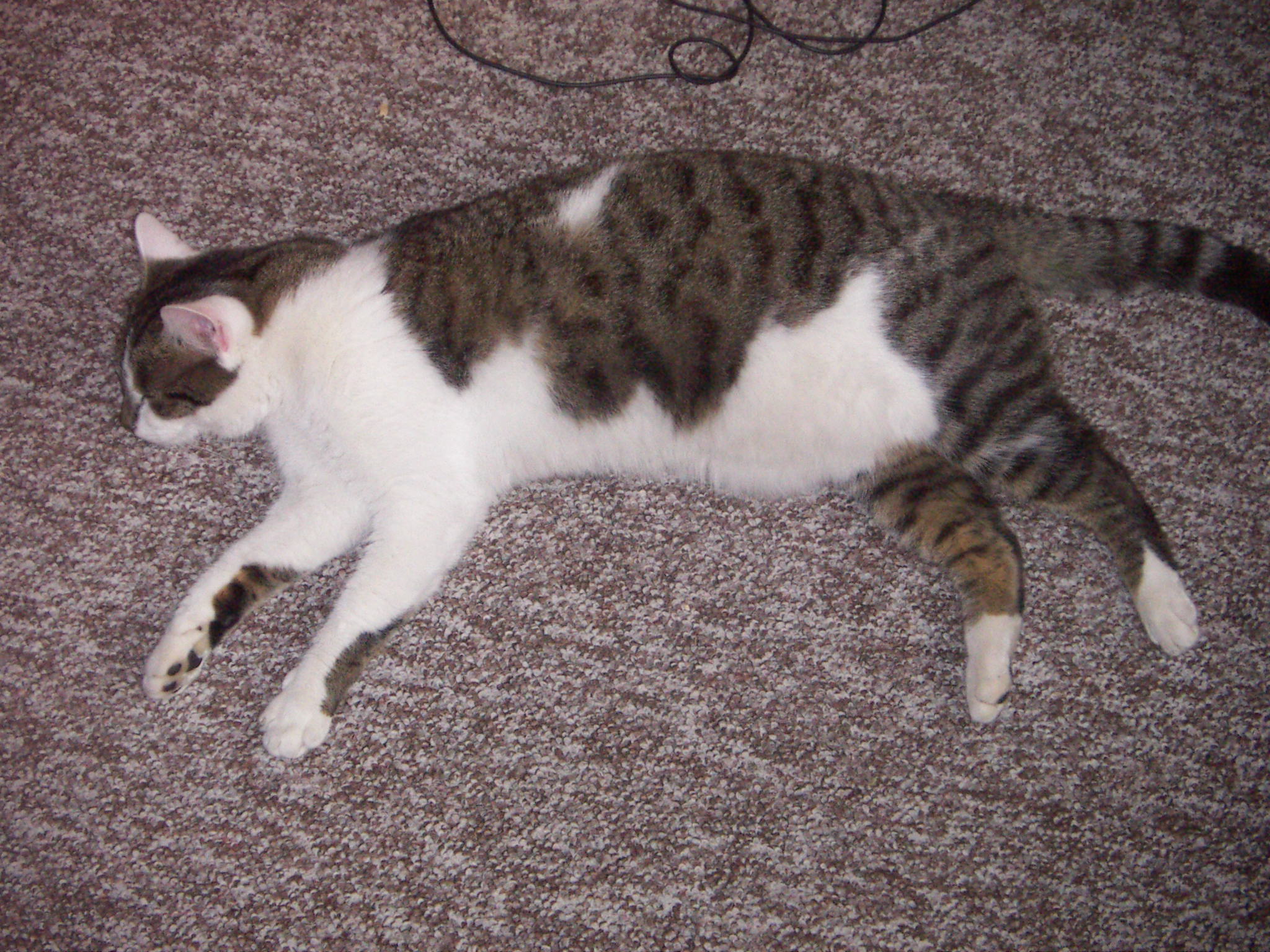 PICT0036.JPG