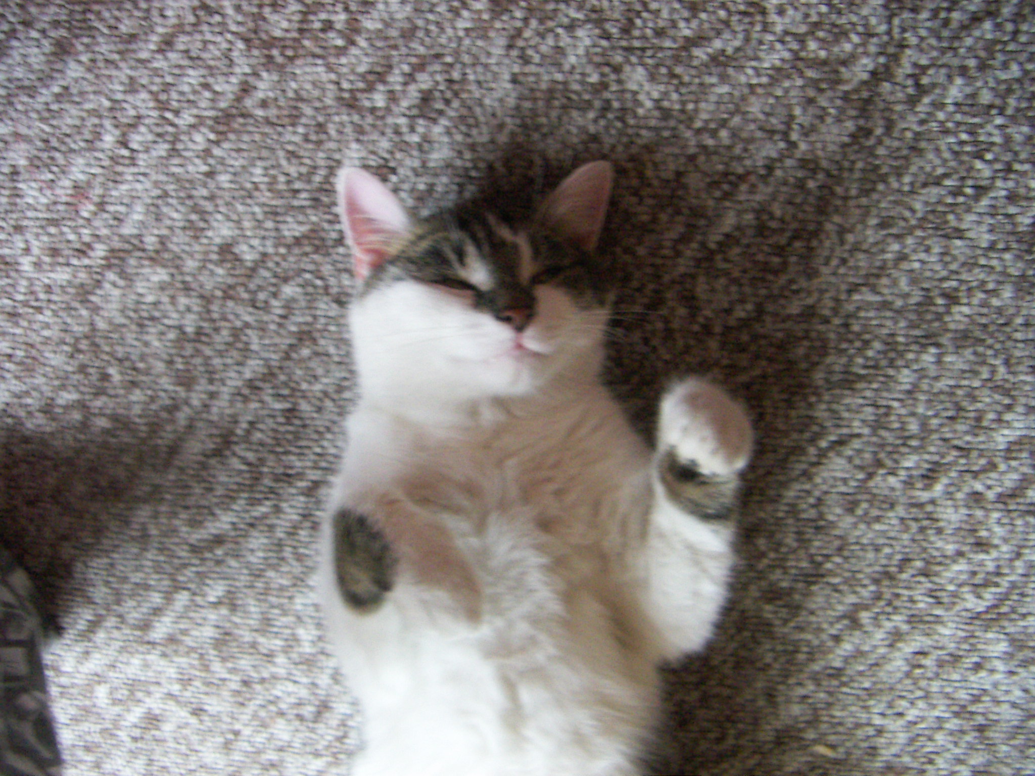 PICT0045.JPG