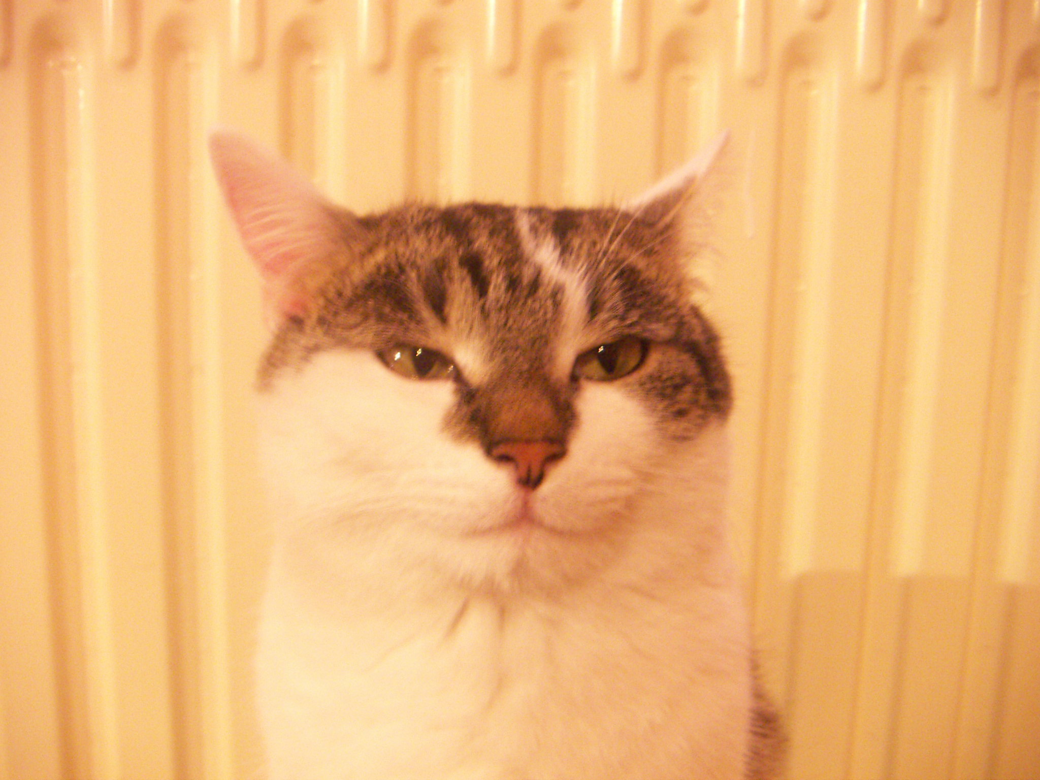 PICT0103.JPG