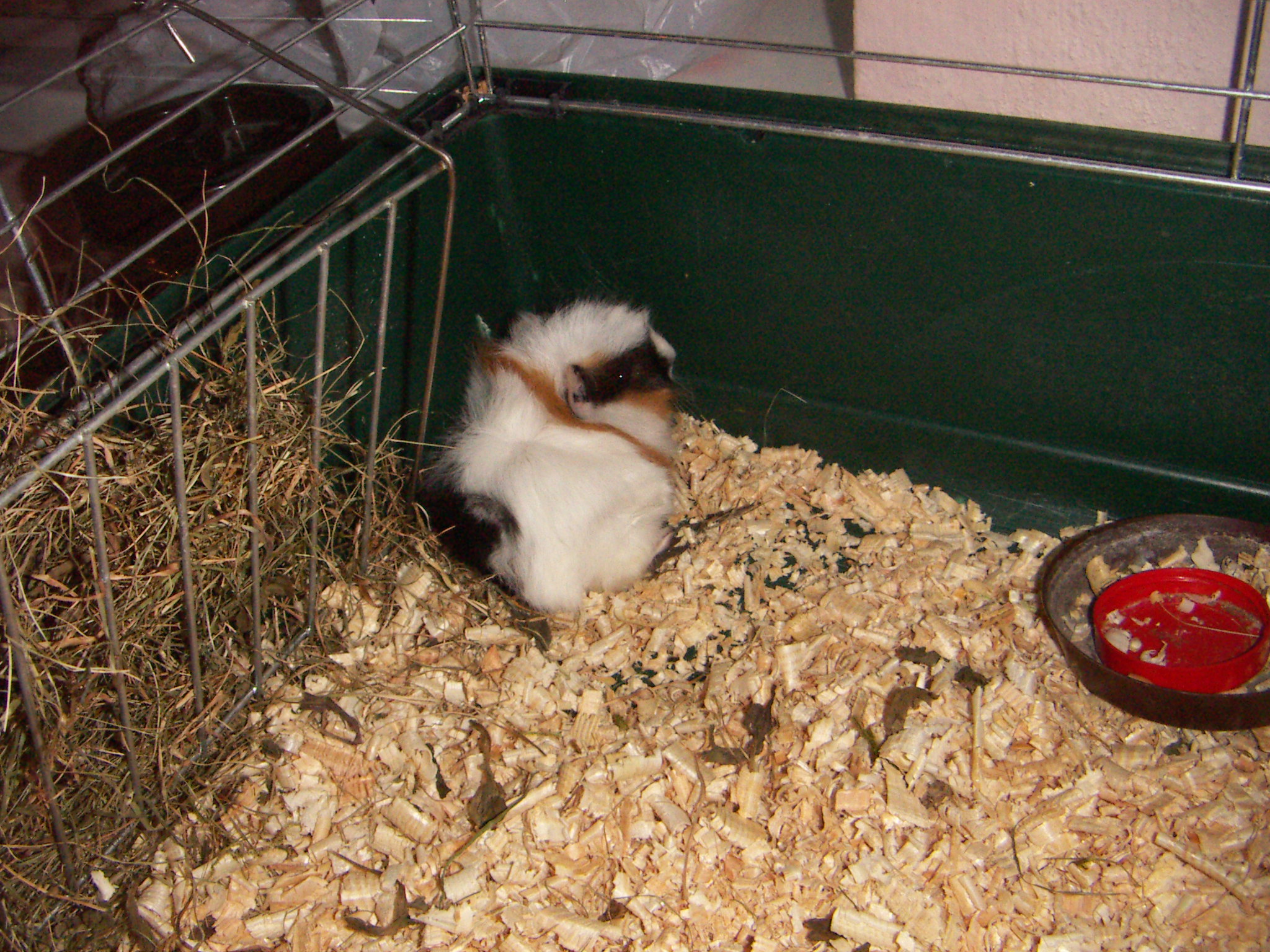 PICT0538.JPG